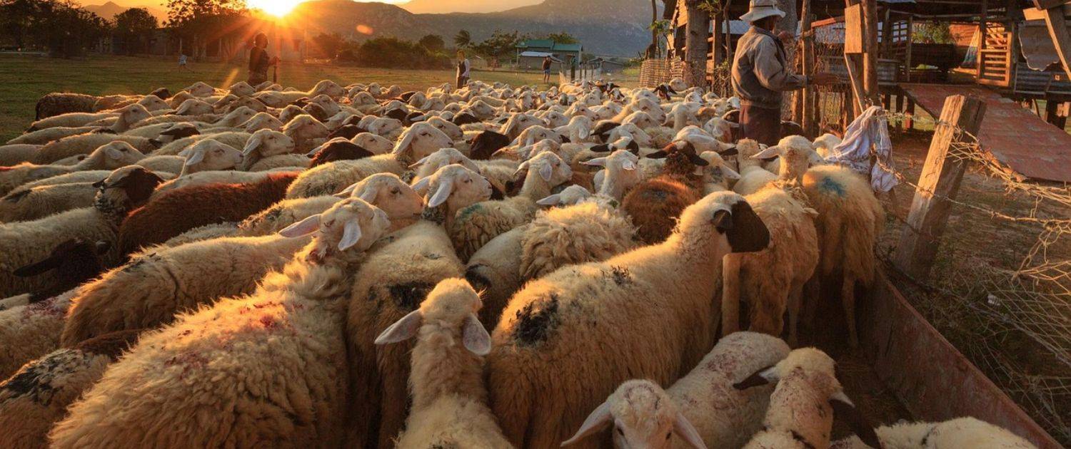 banner-1500x630_compressed